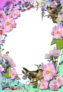 Fotoeffekt aus der Kategorie Fotorahmen für Frauen № 58779