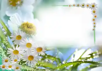 Fotoeffekt aus der Kategorie Fotorahmen für Frauen № 59087