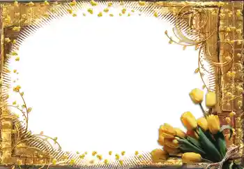 Fotoeffekt aus der Kategorie Fotorahmen für Frauen № 60398 Fotoeffekt aus der Kategorie Fotorahmen für Frauen № 60398