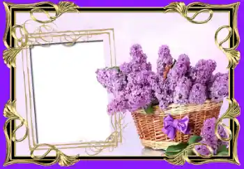 Fotoeffekt aus der Kategorie Fotorahmen für Frauen № 64100