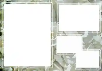 Fotoeffekt aus der Kategorie Fotorahmen für Frauen № 65658