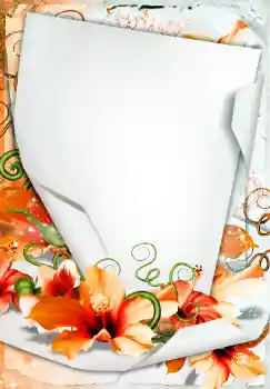 Fotoeffekt aus der Kategorie Fotorahmen für Frauen № 68450