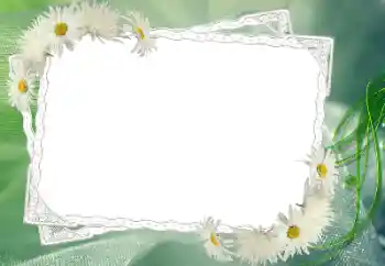 Fotoeffekt aus der Kategorie Fotorahmen für Frauen № 68583
