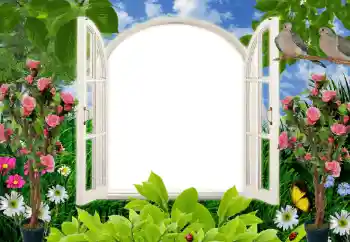 Fotoeffekt aus der Kategorie Fotorahmen für Frauen № 68628