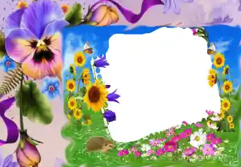 Fotoeffekt aus der Kategorie Fotorahmen für Frauen № 68630