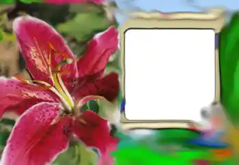 Fotoeffekt aus der Kategorie Fotorahmen für Frauen № 69843