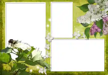 Fotoeffekt aus der Kategorie Fotorahmen für Frauen № 70903