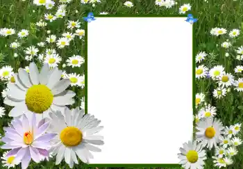 Fotoeffekt aus der Kategorie Fotorahmen für Frauen № 72360