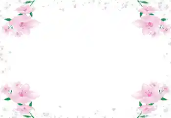 Fotoeffekt aus der Kategorie Fotorahmen für Frauen № 72430