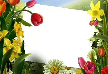 Fotoeffekt aus der Kategorie Fotorahmen für Frauen № 73530