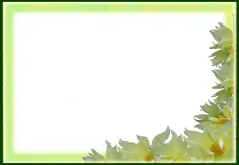 Fotoeffekt aus der Kategorie Fotorahmen für Frauen № 79029 Fotoeffekt aus der Kategorie Fotorahmen für Frauen № 79029