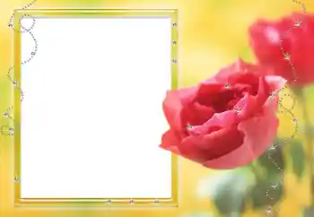 Fotoeffekt aus der Kategorie Fotorahmen für Frauen № 80125 Fotoeffekt aus der Kategorie Fotorahmen für Frauen № 80125