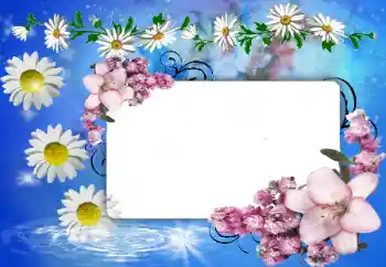 Fotoeffekt aus der Kategorie Fotorahmen für Frauen № 80388 Fotoeffekt aus der Kategorie Fotorahmen für Frauen № 80388