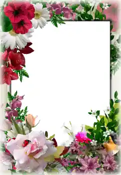 Fotoeffekt aus der Kategorie Fotorahmen für Frauen № 85267 Fotoeffekt aus der Kategorie Fotorahmen für Frauen № 85267