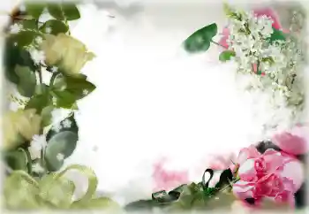 Fotoeffekt aus der Kategorie Fotorahmen für Frauen № 85356 Fotoeffekt aus der Kategorie Fotorahmen für Frauen № 85356