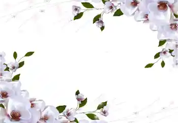 Fotoeffekt aus der Kategorie Fotorahmen für Frauen № 87722
