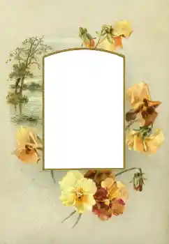 Fotoeffekt aus der Kategorie Fotorahmen für Frauen № 88073