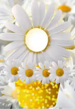 Fotoeffekt aus der Kategorie Fotorahmen für Frauen № 91798