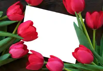 Fotoeffekt aus der Kategorie Fotorahmen für Frauen № 93458