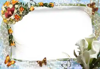 Fotoeffekt aus der Kategorie Fotorahmen für Frauen № 94609