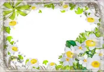 Fotoeffekt aus der Kategorie Fotorahmen für Frauen № 94724