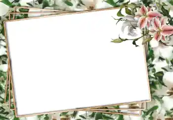 Fotoeffekt aus der Kategorie Fotorahmen für Frauen № 94751