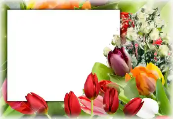 Fotoeffekt aus der Kategorie Fotorahmen für Frauen № 94794