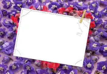 Fotoeffekt aus der Kategorie Fotorahmen für Frauen № 9481