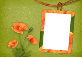 Fotoeffekt aus der Kategorie Fotorahmen für Frauen № 94833