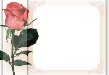 Fotoeffekt aus der Kategorie Fotorahmen für Frauen № 96405