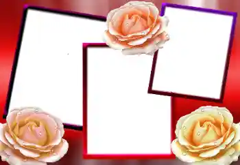 Fotoeffekt aus der Kategorie Fotorahmen für Frauen № 9712 Fotoeffekt aus der Kategorie Fotorahmen für Frauen № 9712