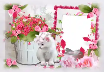 Fotoeffekt aus der Kategorie Fotorahmen für Frauen № 97470 Fotoeffekt aus der Kategorie Fotorahmen für Frauen № 97470