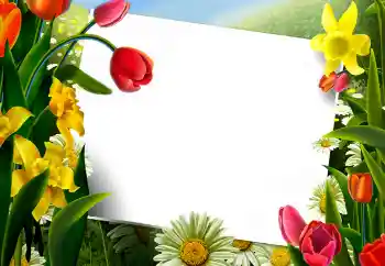 Fotoeffekt aus der Kategorie Fotorahmen für Frauen № 9867